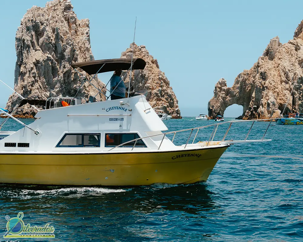 silverados sport fishing_best charters in cabo_Cheyenne 02