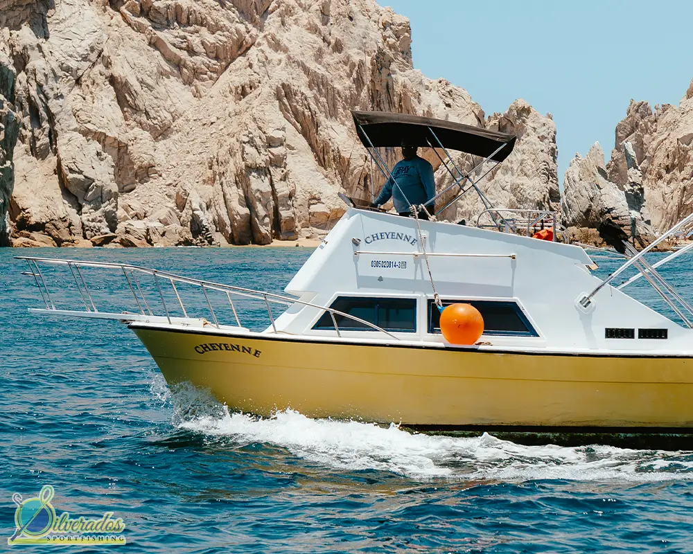 silverados sport fishing_best charters in cabo_Cheyenne 03