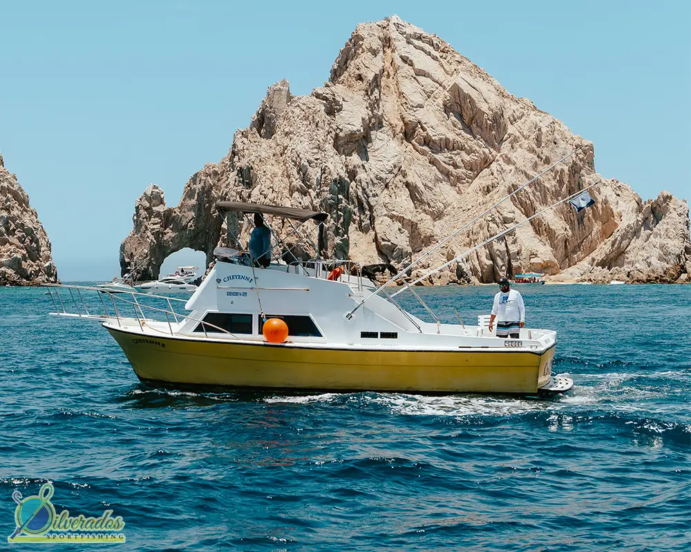 silverados sport fishing_best charters in cabo_Cheyenne 04