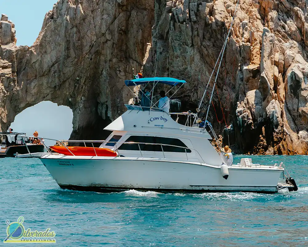 silverados sport fishing_best charters in cabo_Cowboy 01