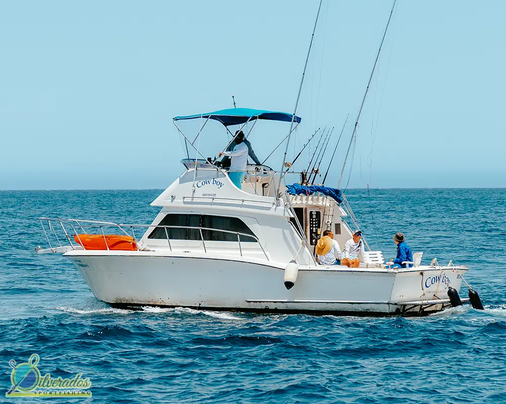 silverados sport fishing_best charters in cabo_Cowboy 02