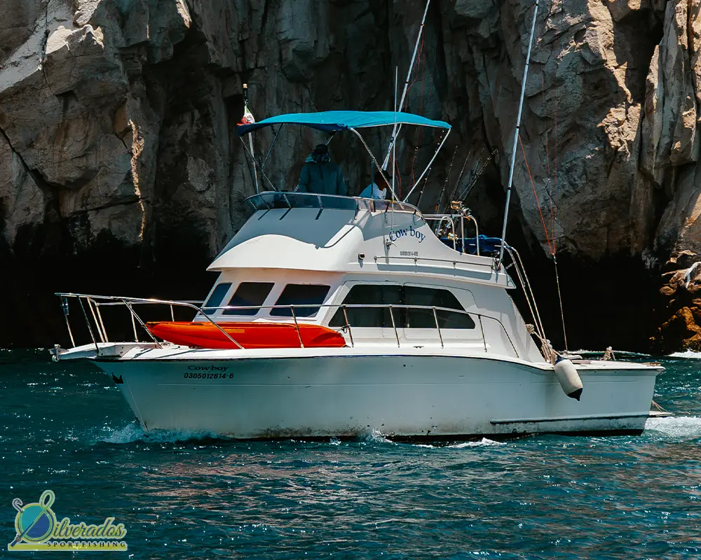 silverados sport fishing_best charters in cabo_Cowboy 03