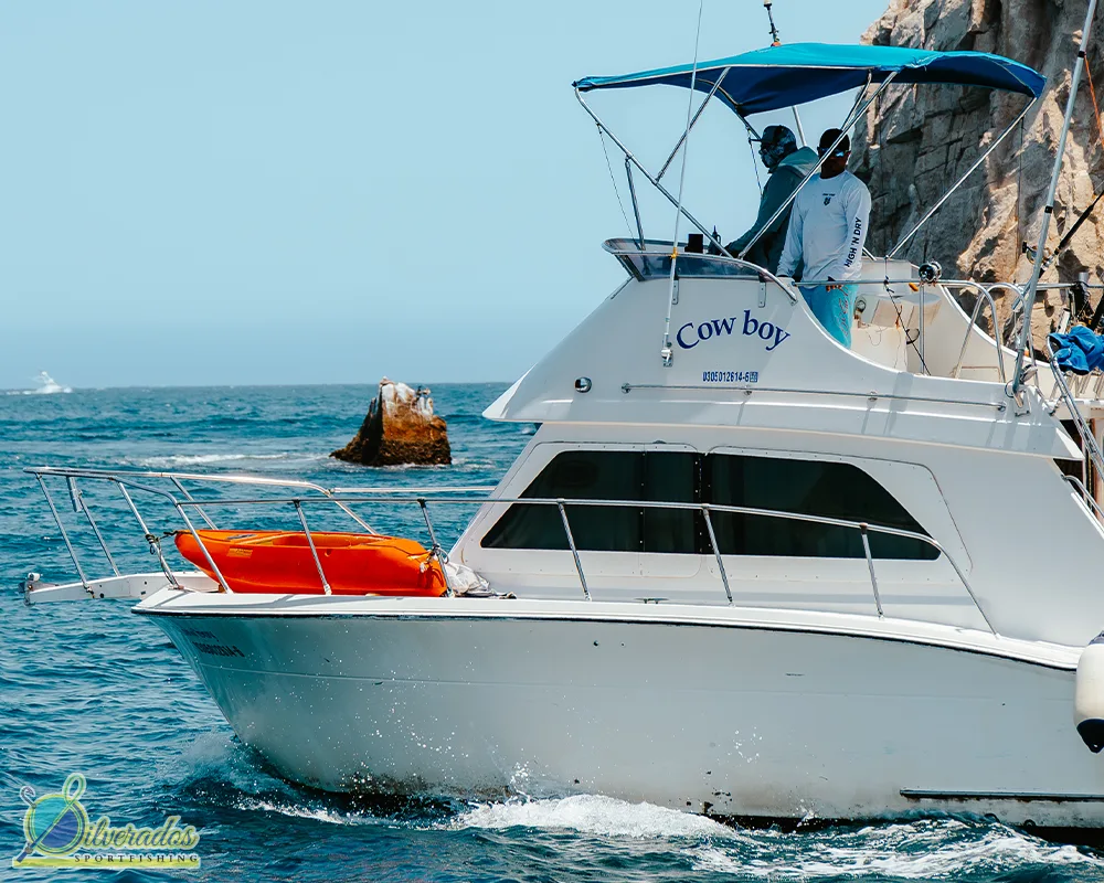 silverados sport fishing_best charters in cabo_Cowboy 04