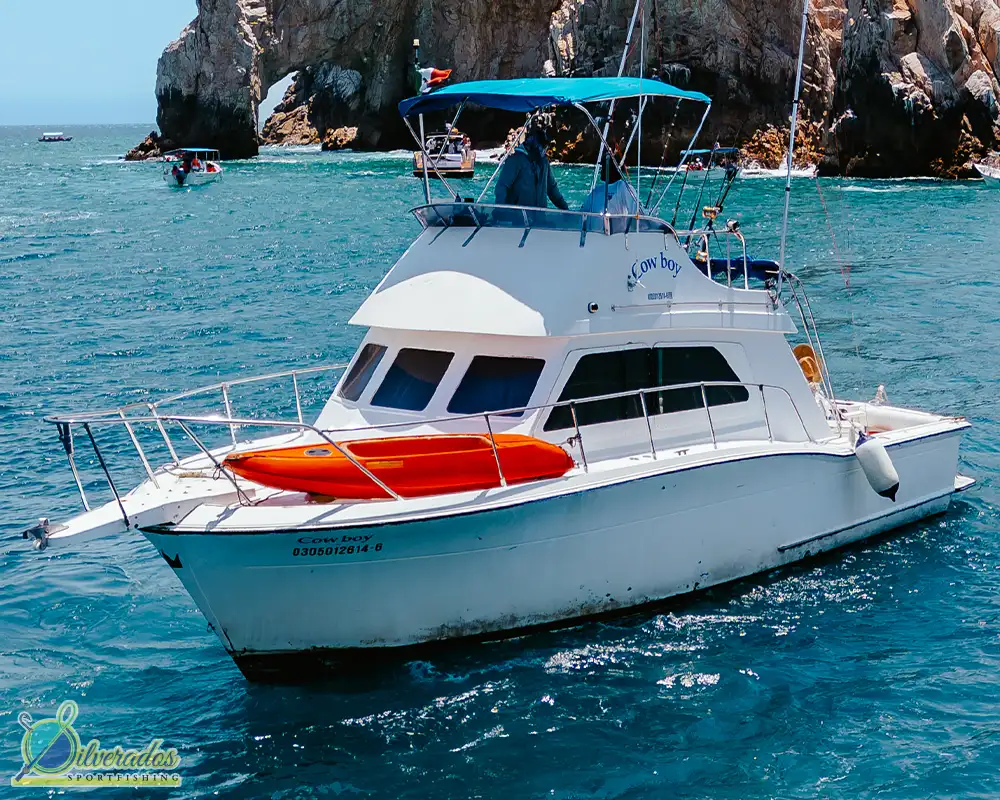 silverados sport fishing_best charters in cabo_Cowboy 05