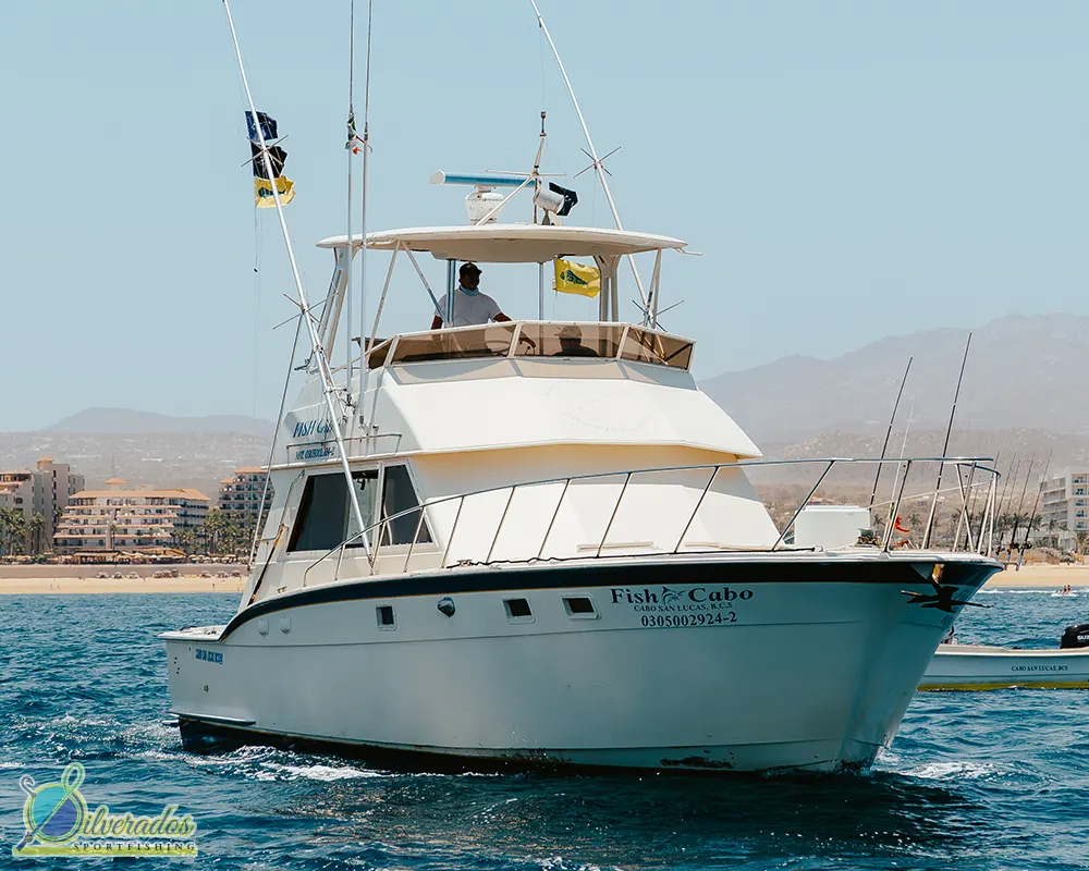 silverados sport fishing_best charters in cabo_Fish Cabo 02