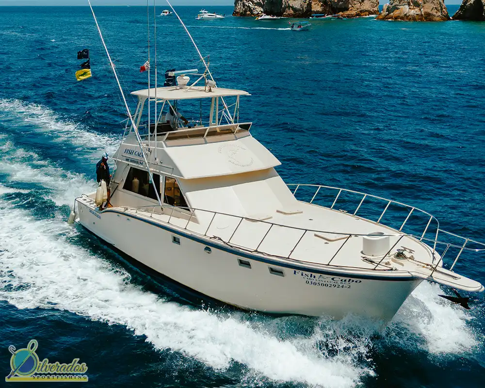 silverados sport fishing_best charters in cabo_Fish Cabo 03