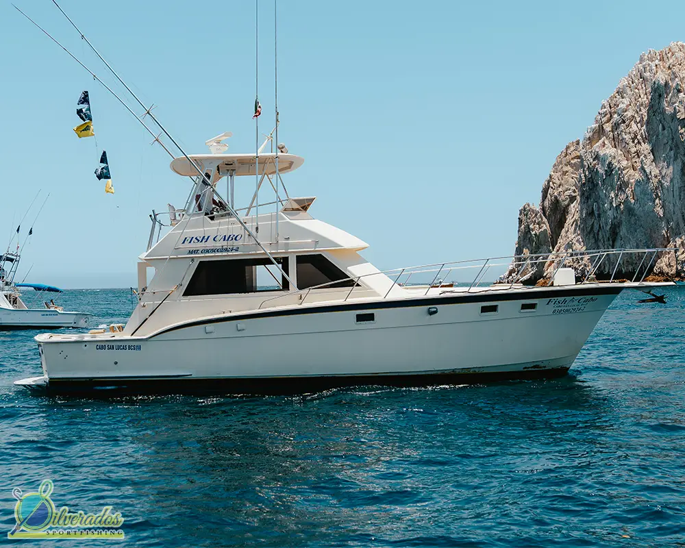 silverados sport fishing_best charters in cabo_Fish Cabo 04