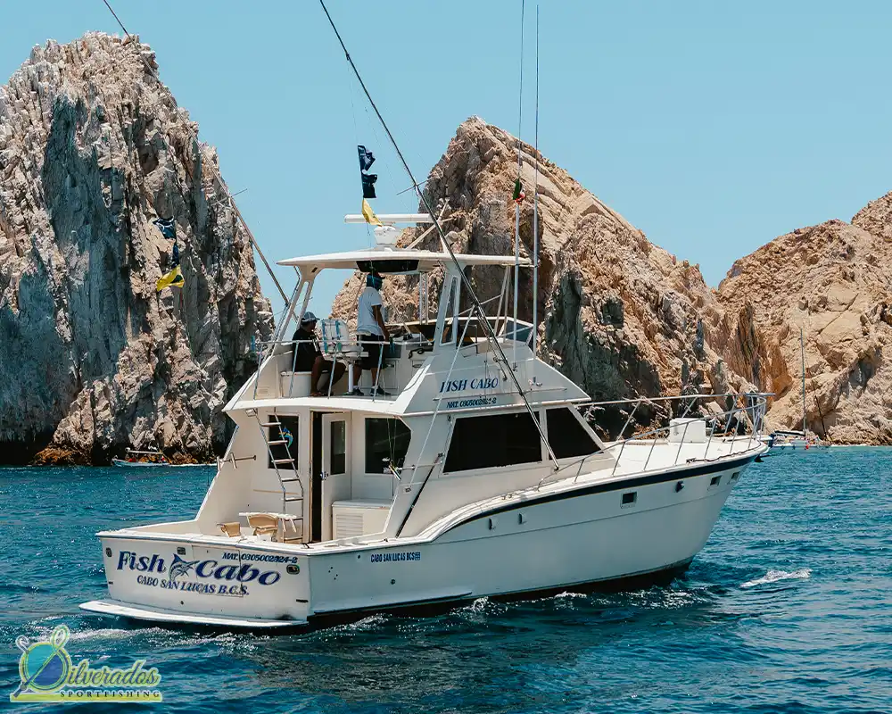 silverados sport fishing_best charters in cabo_Fish Cabo 05