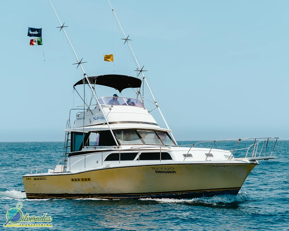 silverados sport fishing_best charters in cabo_Navajo 01