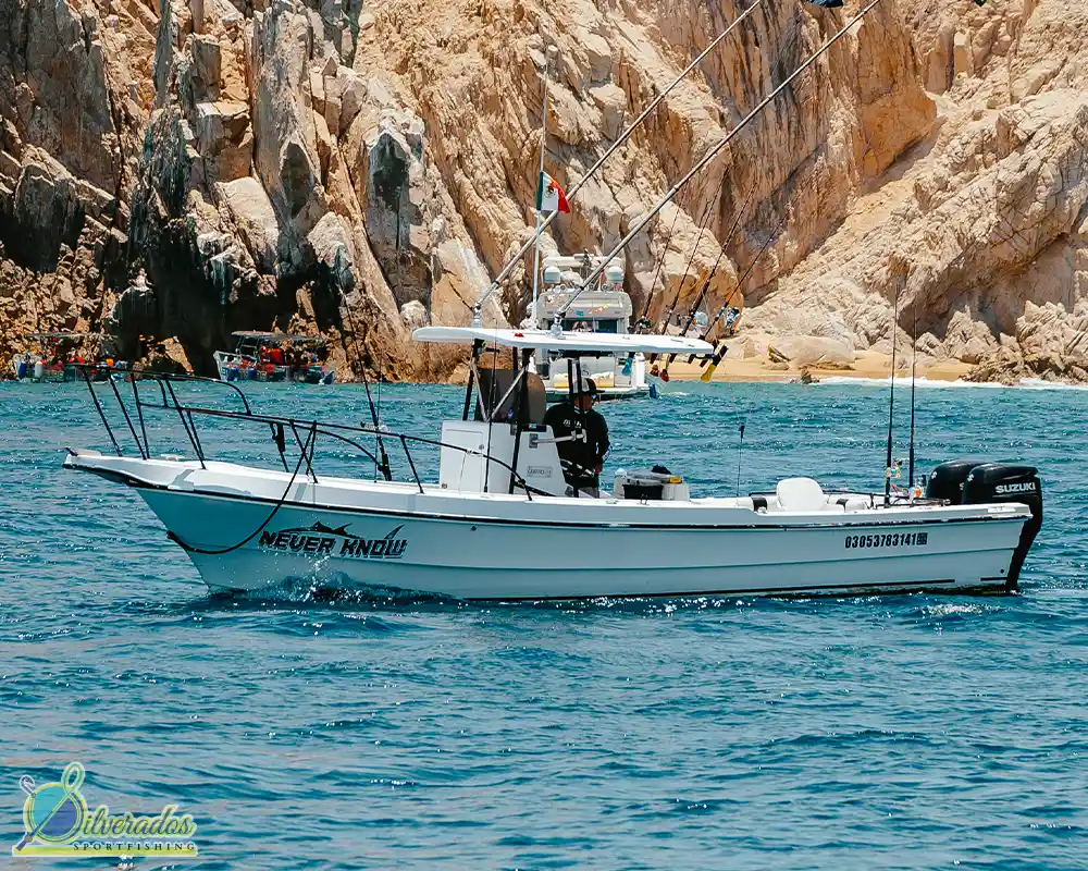 silverados sport fishing_best charters in cabo_Never know 01