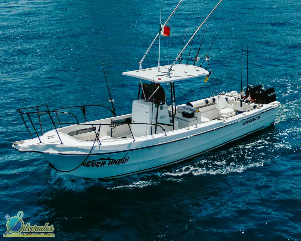 silverados sport fishing_best charters in cabo_Never know 02