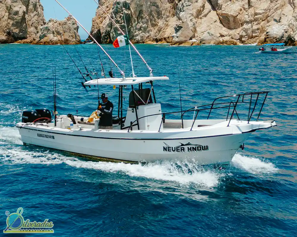 silverados sport fishing_best charters in cabo_Never know 03