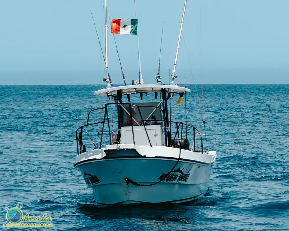 silverados sport fishing_best charters in cabo_Never know 04