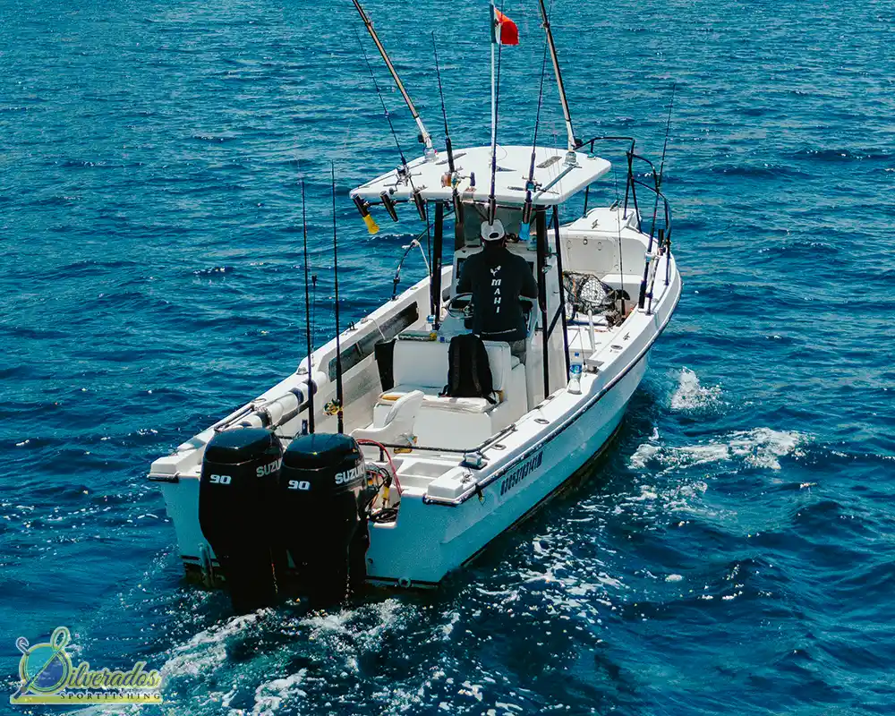 silverados sport fishing_best charters in cabo_Never know 05