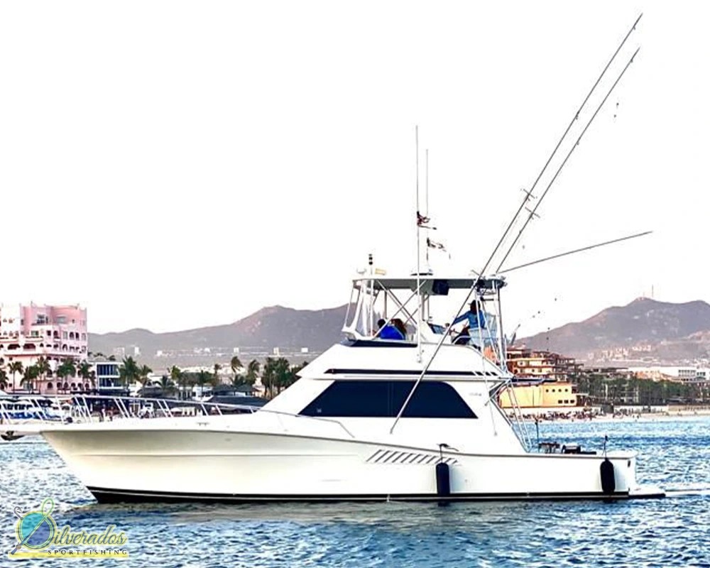 silverados sport fishing_best charters in cabo_Reelax 01