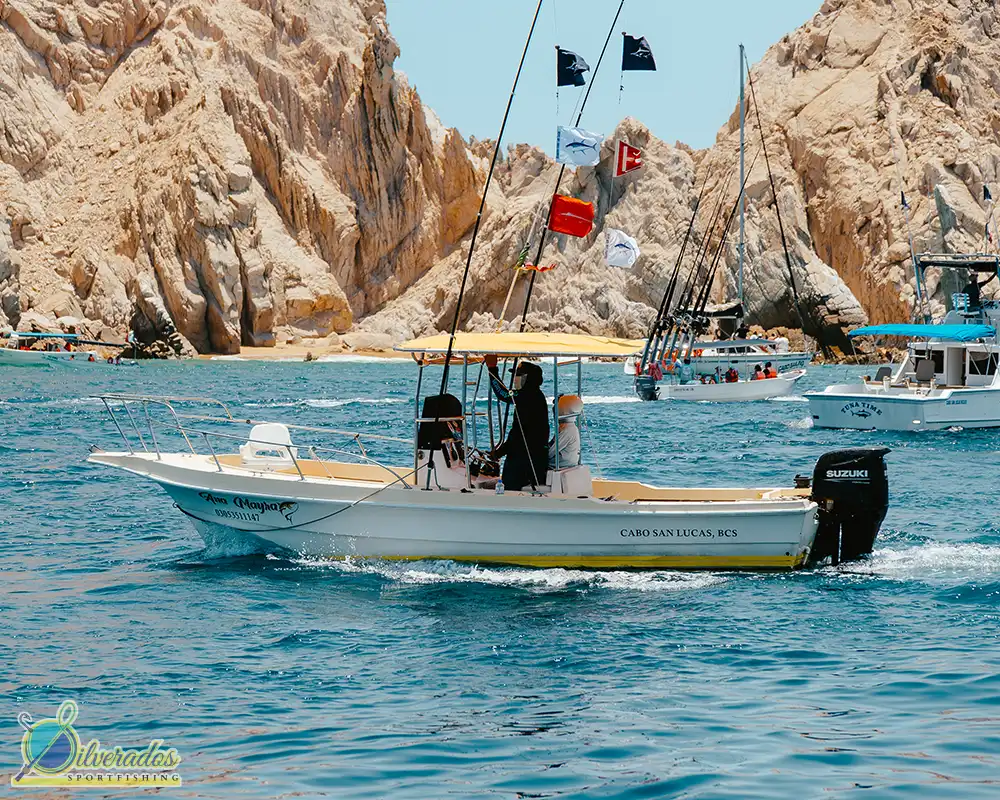 silverados sport fishing_best charters in cabo_Ana Mayra 05