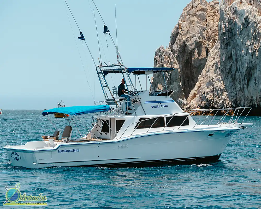 silverados sport fishing_best charters in cabo_Tuna time 01