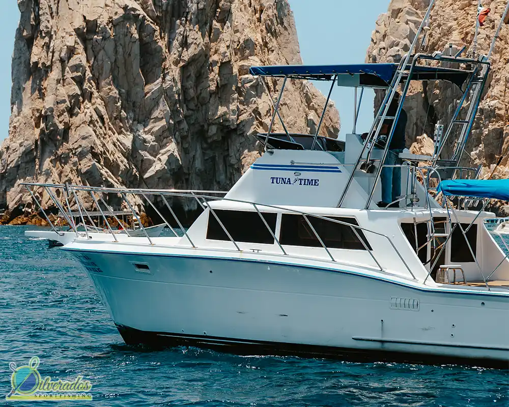 silverados sport fishing_best charters in cabo_Tuna time 02