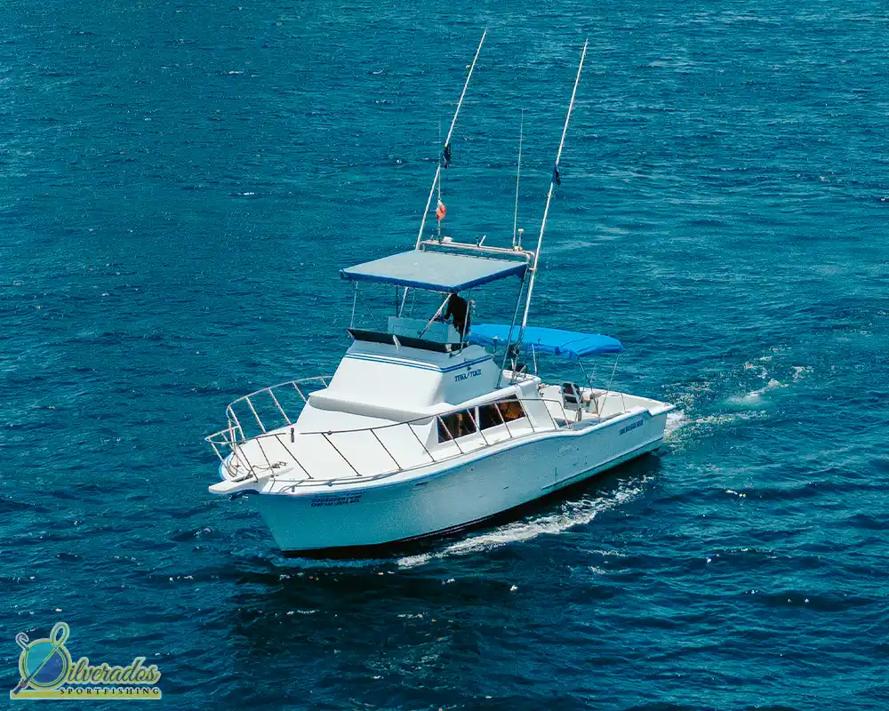 silverados sport fishing_best charters in cabo_Tuna time 03