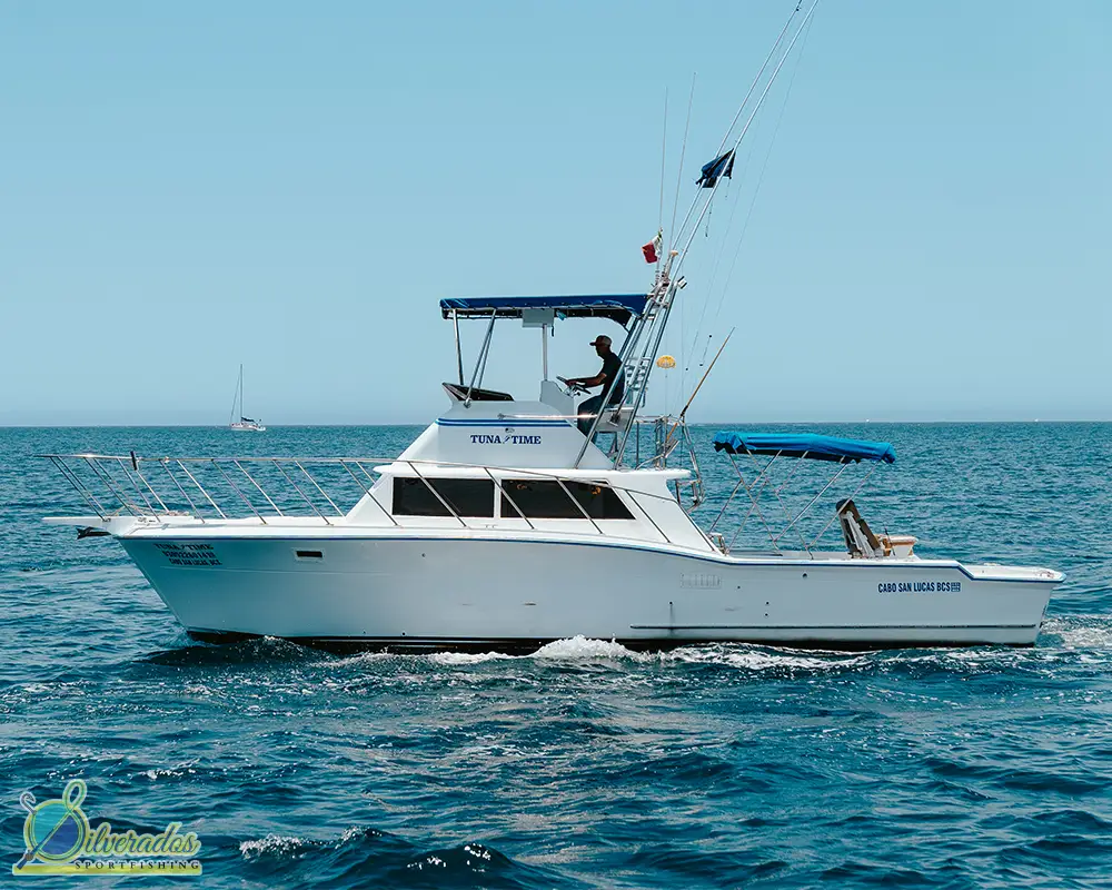 silverados sport fishing_best charters in cabo_Tuna time 05